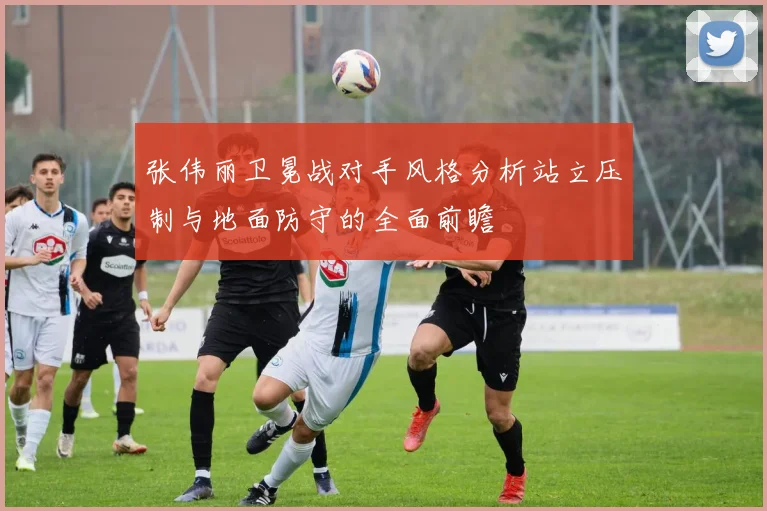 张伟丽卫冕战对手风格分析站立压制与地面防守的全面前瞻